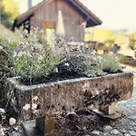 Semesterbostad Alpaka-ferienhaus Oenzlen By Interhome *