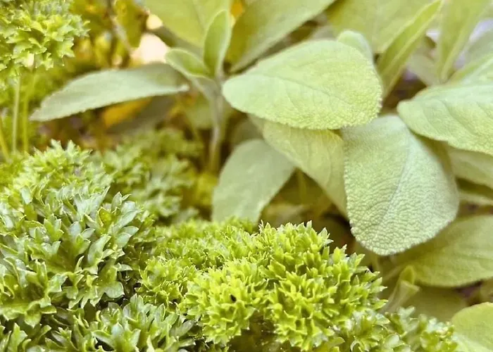 Alpaka-ferienhaus Oenzlen By Interhome *